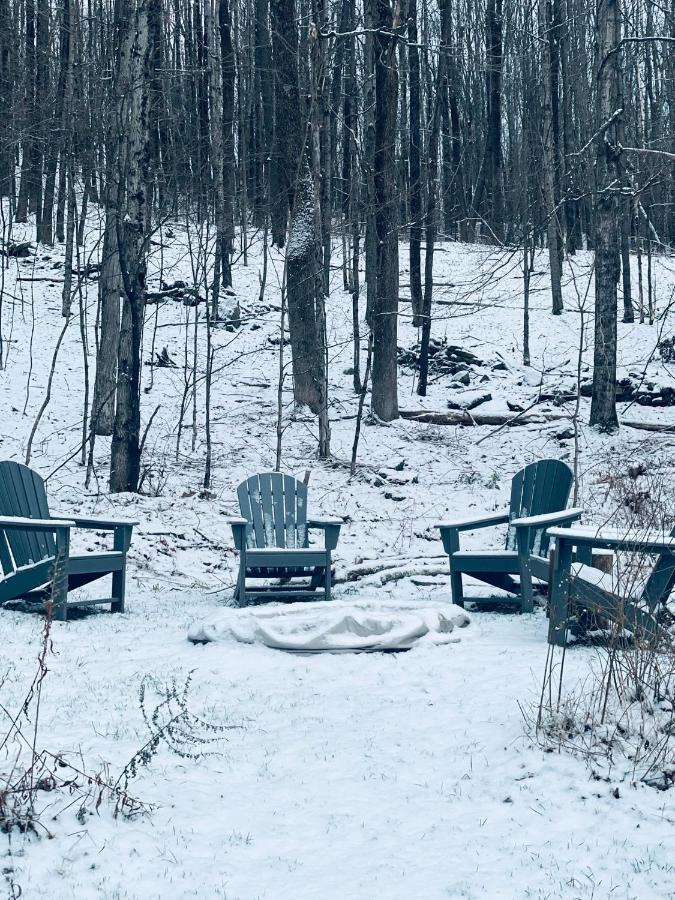 Cozy Cottage With Jacuzzi And Fire Pit And Reading Nook! Livingston Manor Exterior foto