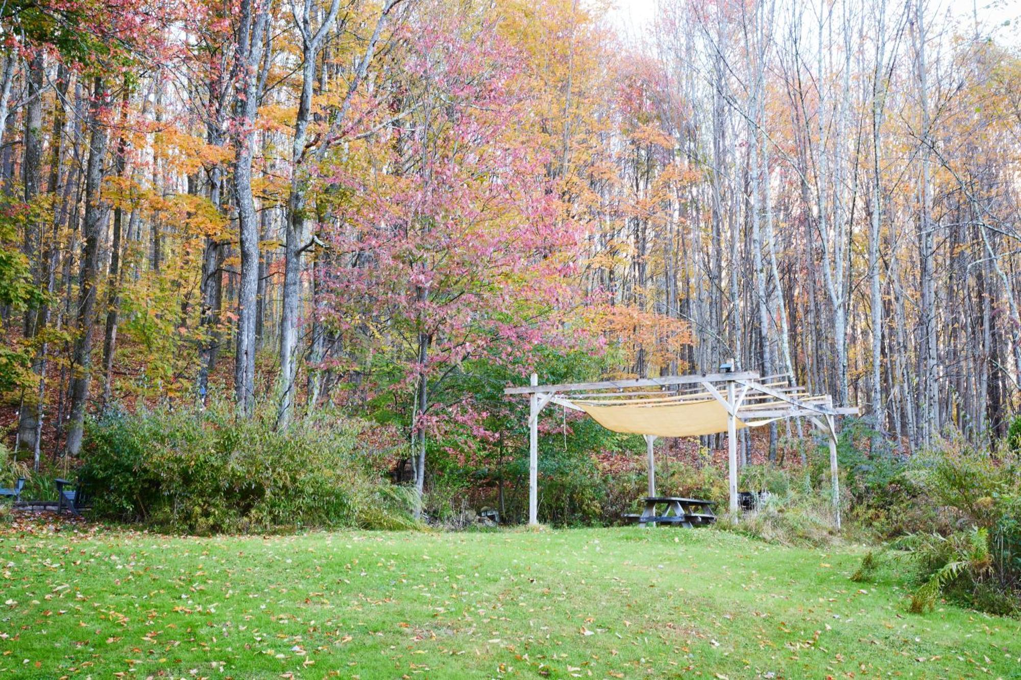 Cozy Cottage With Jacuzzi And Fire Pit And Reading Nook! Livingston Manor Exterior foto